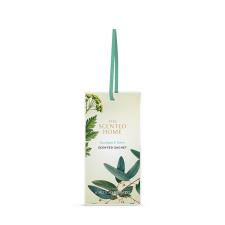 Ashleigh & Burwood Eucalyptus & Vetiver Slim Scent Sachet